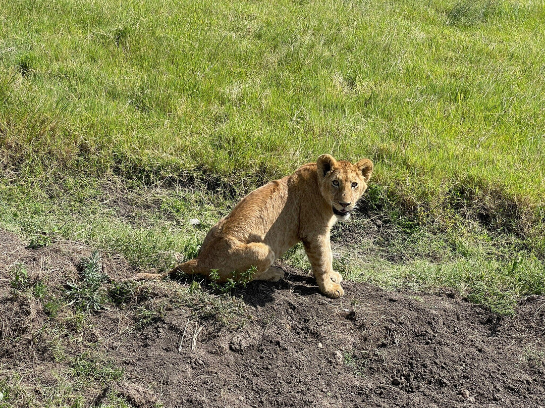 Zanzi inn tours & safari-桑给巴尔市必去景点