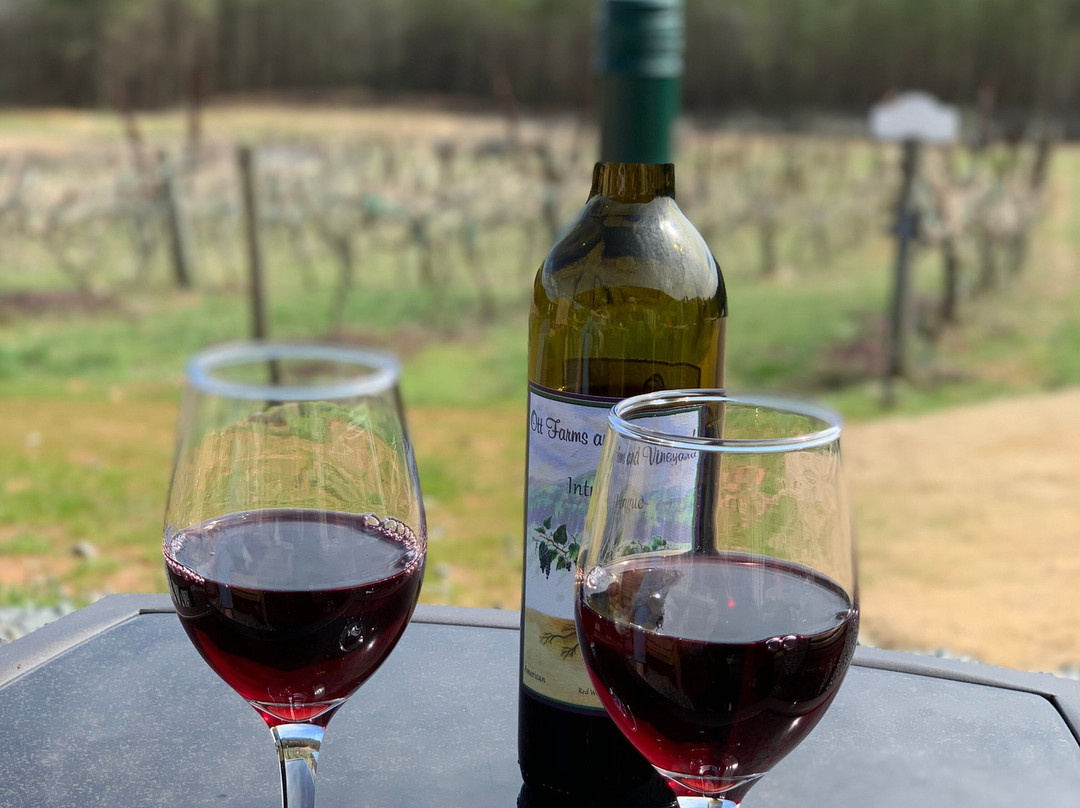 Ott Farms and Vineyard-Ellijay必去景点