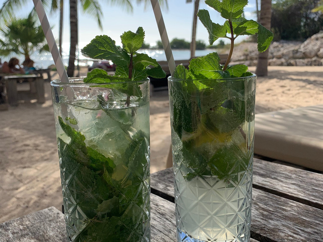 Hibiscus Beach House bed & breakfast主图