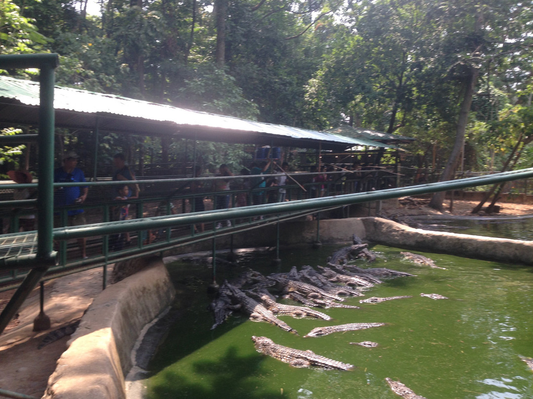 Zoobic Safari-苏比克湾自由贸易区必去景点