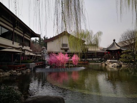 西安唐华华邑酒店（大雁塔大唐不夜城店）-酒店景观