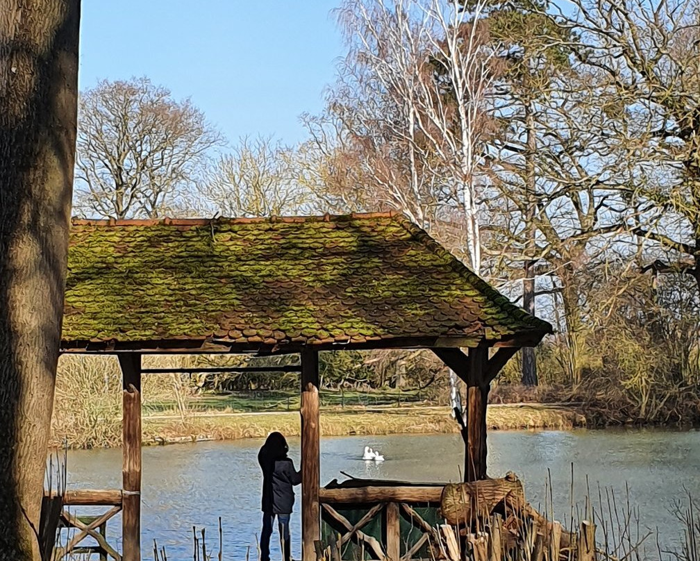 Château le Quesnoy主图