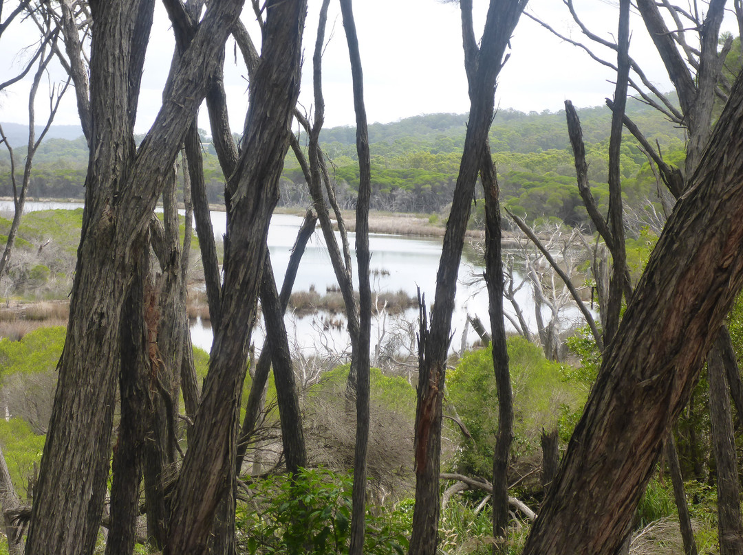 Bournda National Park景点图片