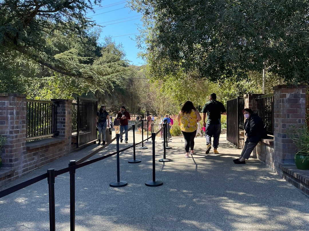 Descanso Gardens-拉肯纳达石岭必去景点