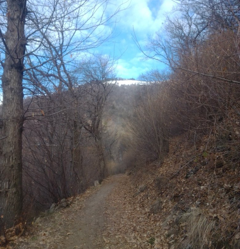 Parco Alpe del Viceré景点图片