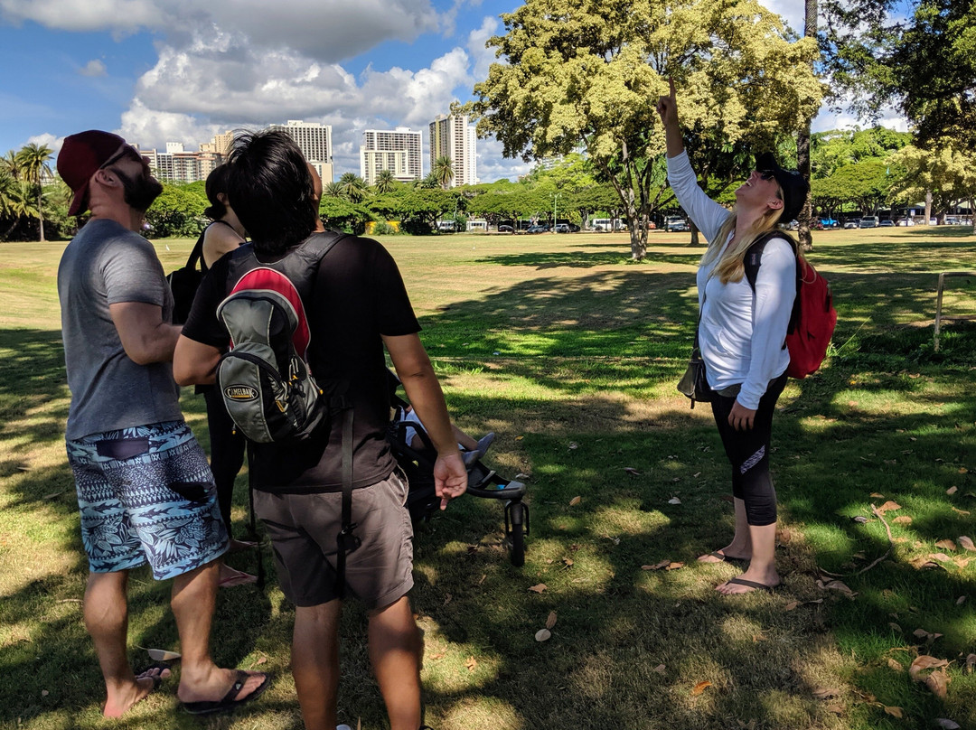 Hawai'i Walks-火奴鲁鲁必去景点