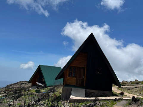 Kilisa Tours & Safaris-莫西必去景点