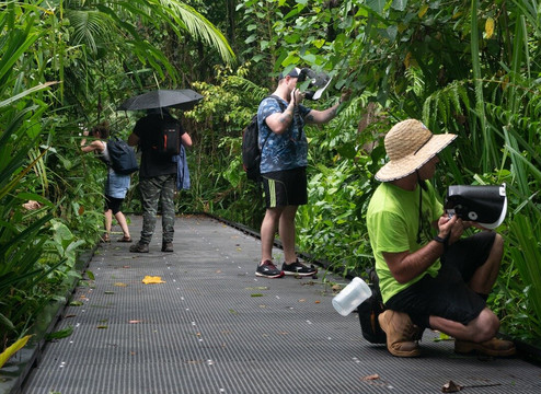 Aussie Macro Photos-凯恩斯必去景点