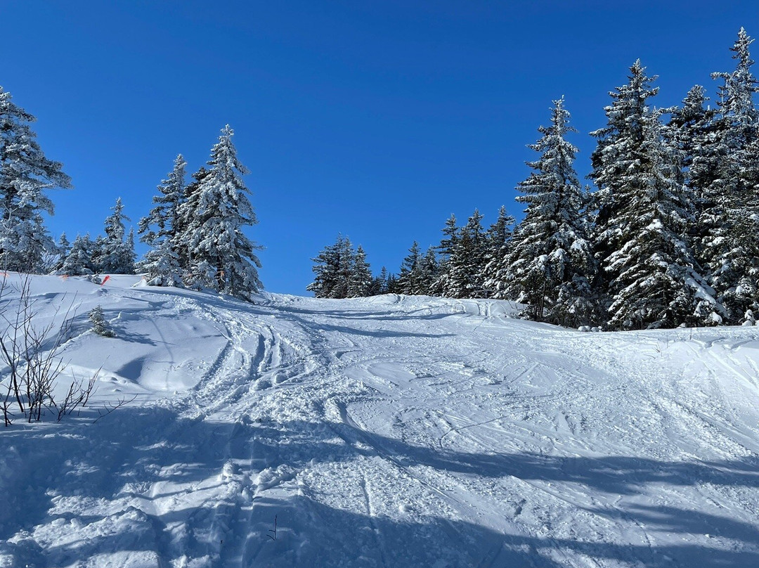 Grand Summit Hotel and Conference Center主图