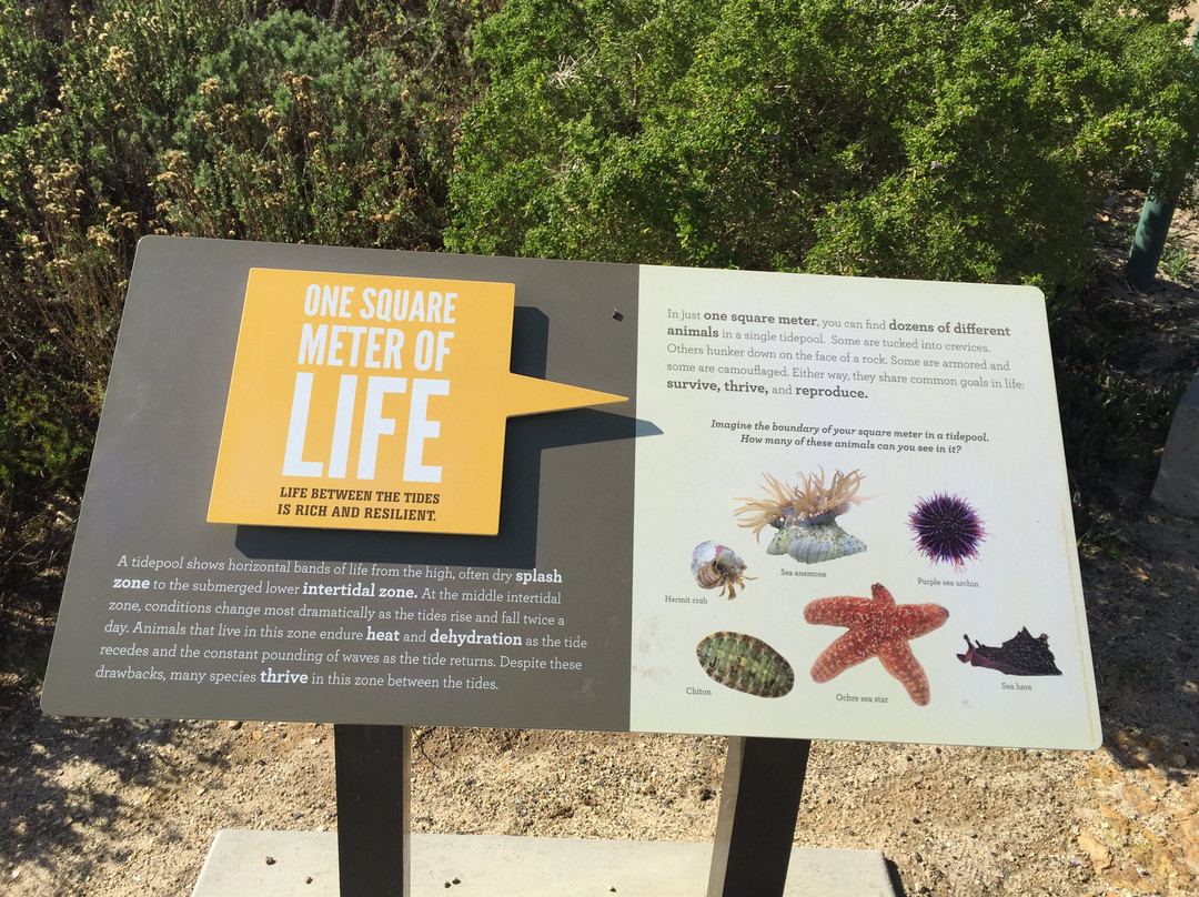 Little Corona Beach-科罗纳戴尔马尔必去景点