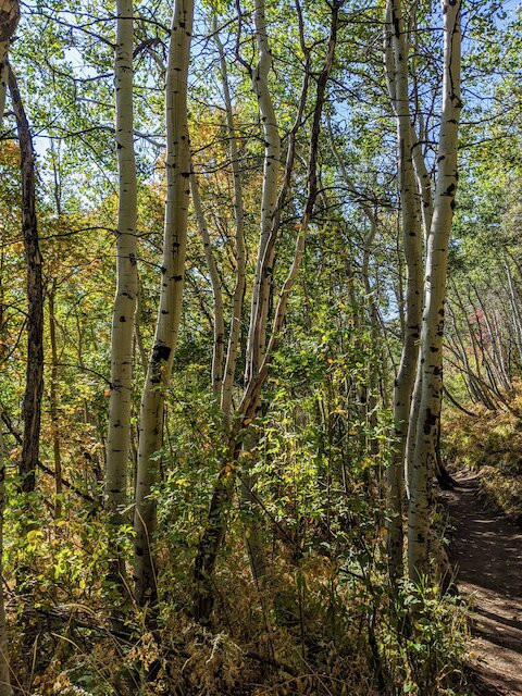 Stewart Falls-日舞必去景点