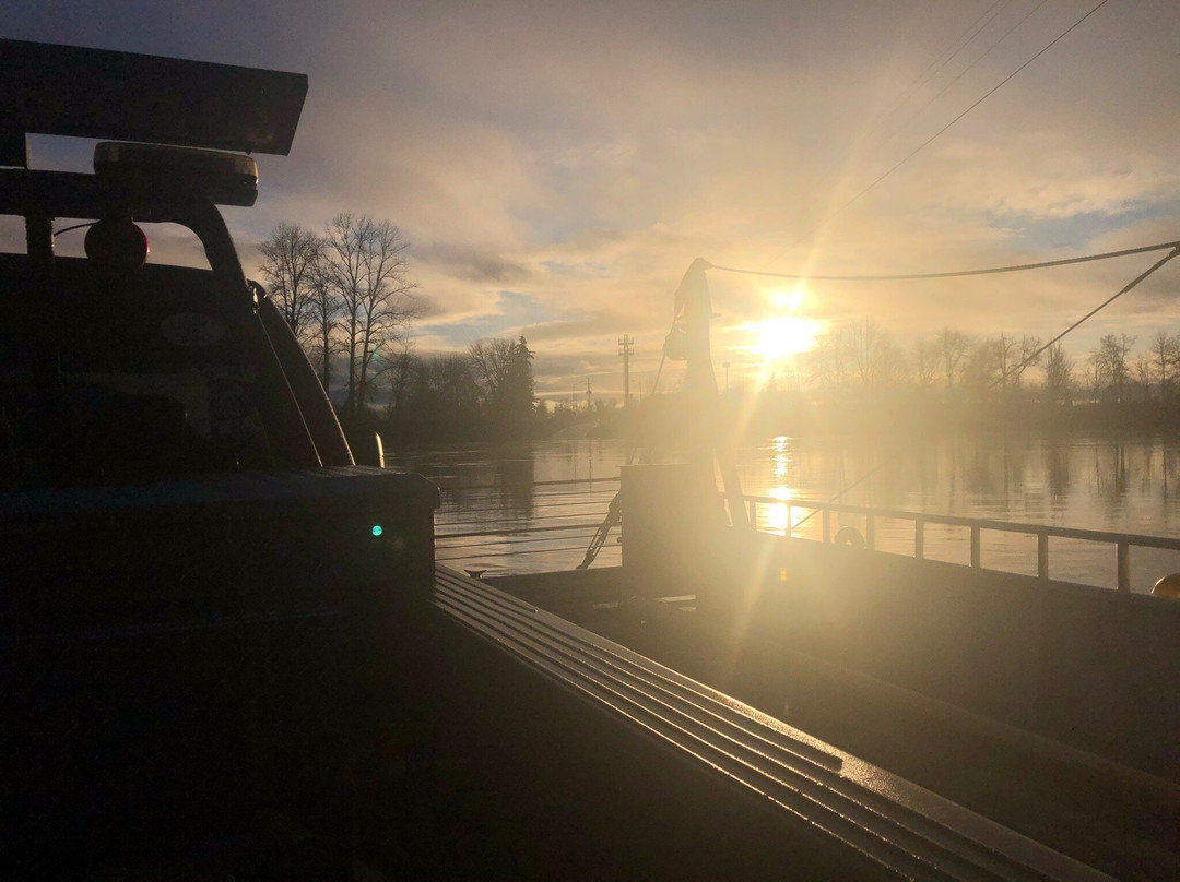 Buena Vista Ferry景点图片