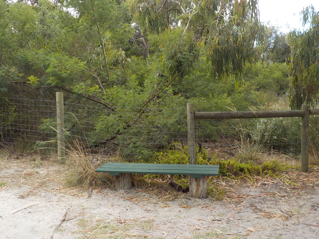 Long Hollow Heathland景点图片
