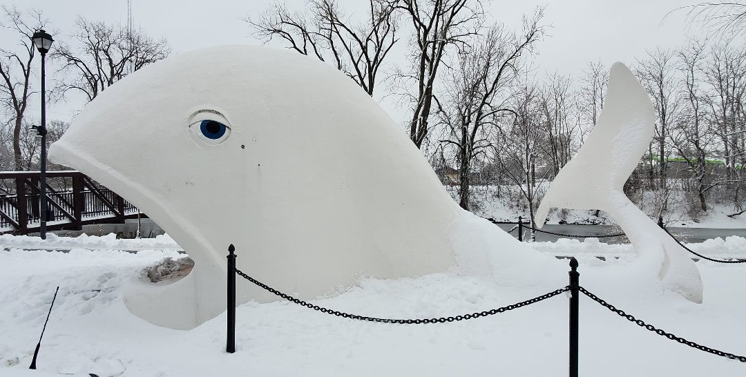 Foster Park-科科莫必去景点