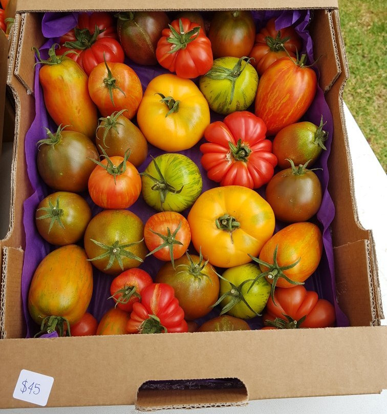 Warratina Lavender Farm-Wandin North必去景点
