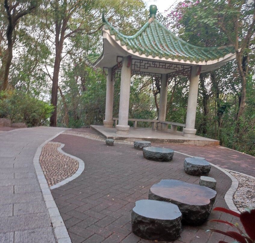 深圳东湖公园景点图片