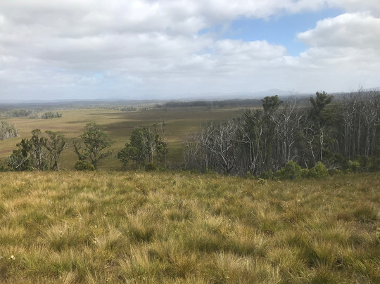 Dempster Plains Lookout-Smithton必去景点