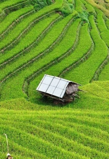 Cuc Phuong National Park景点图片
