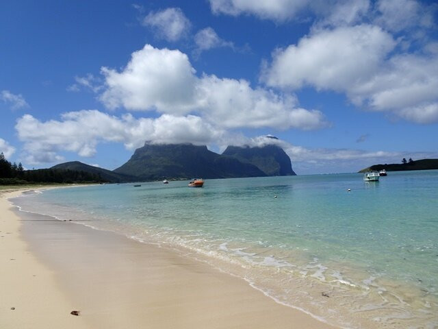 Pinetrees Lodge主图