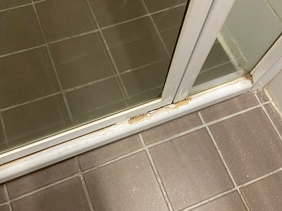 Coffs Shearwater Motel主图