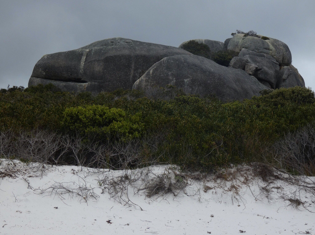 Mount William National Park景点图片