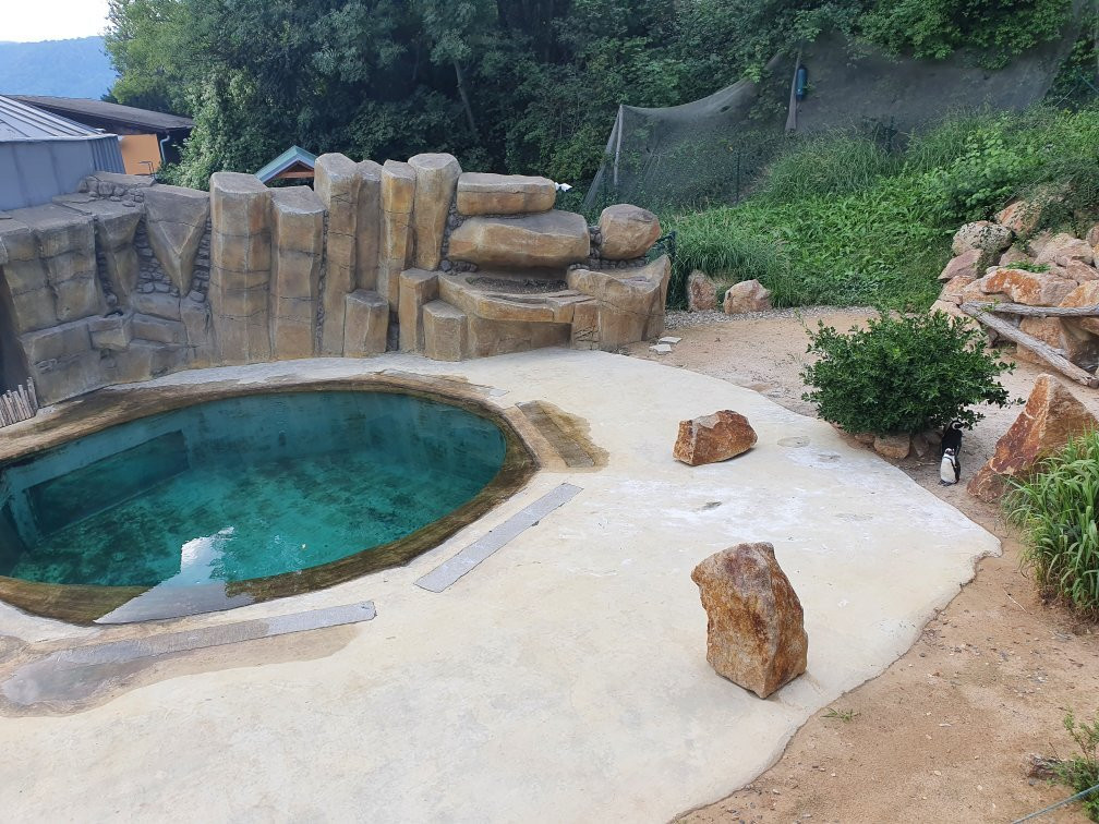 Usti Nad Labem Zoo-拉贝河畔乌斯季必去景点