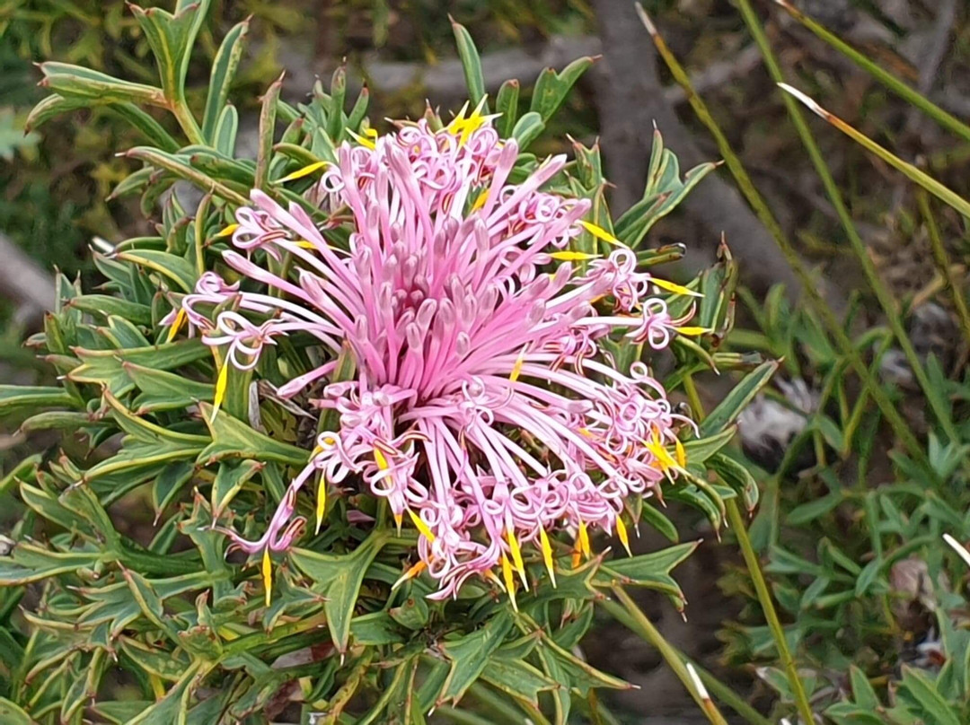 Mundy Regional Park景点图片