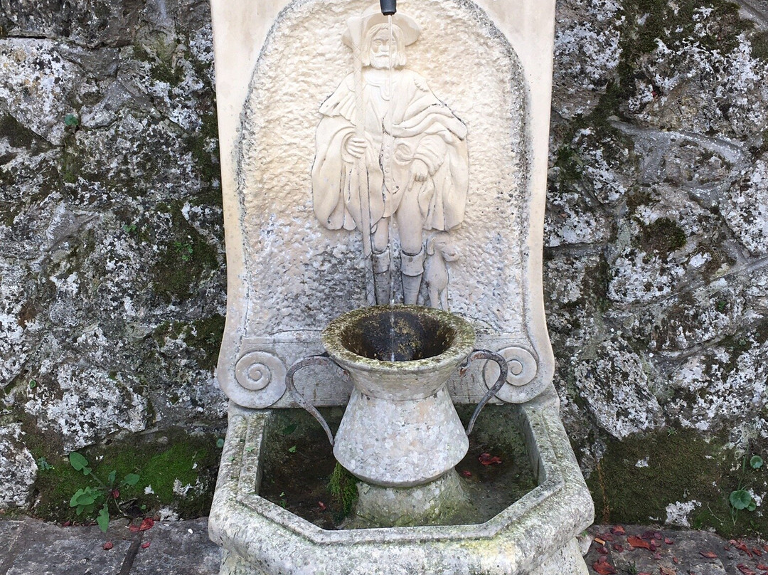 Santuario di San Rocco景点图片