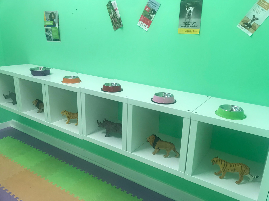 Sea Life Play Centre-南安普敦必去景点