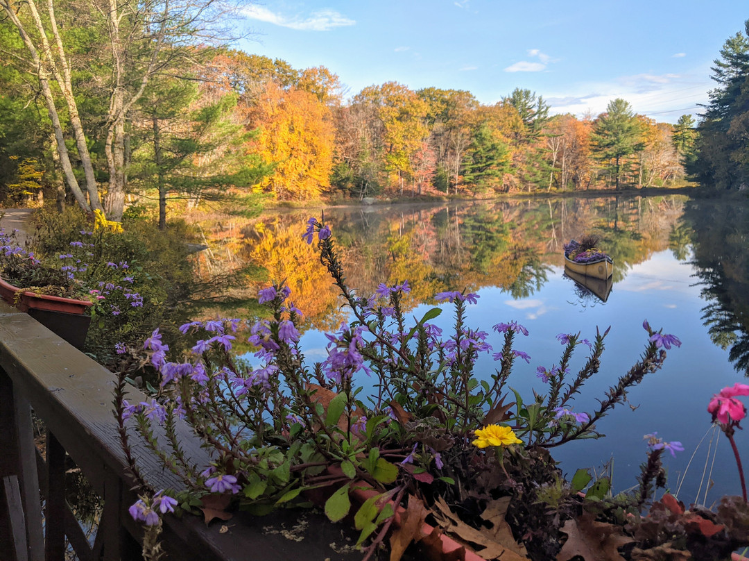 Trillium Resort and Spa主图