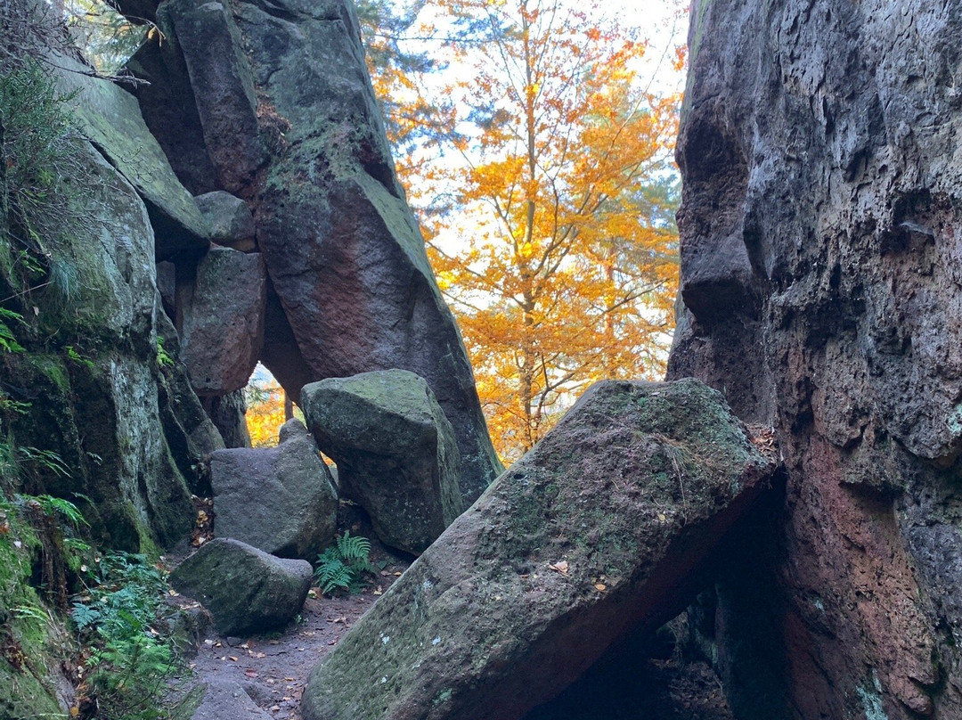 Jonsdorfer Felsenstadt-Jonsdorf必去景点
