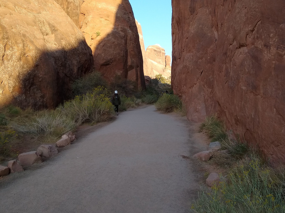 Pine Tree Arch Trail景点图片