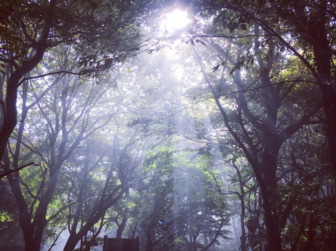 Former Usuitouge View Point-轻井泽町必去景点