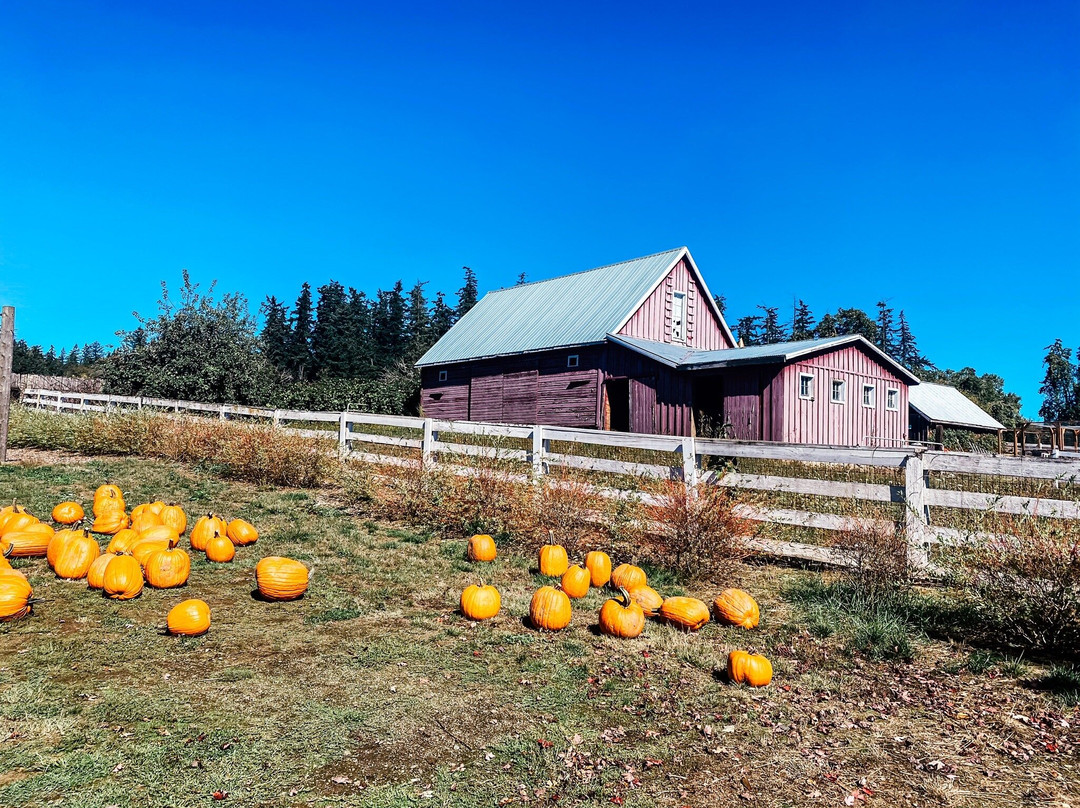 Oregon Heritage Farms-希尔斯伯勒必去景点