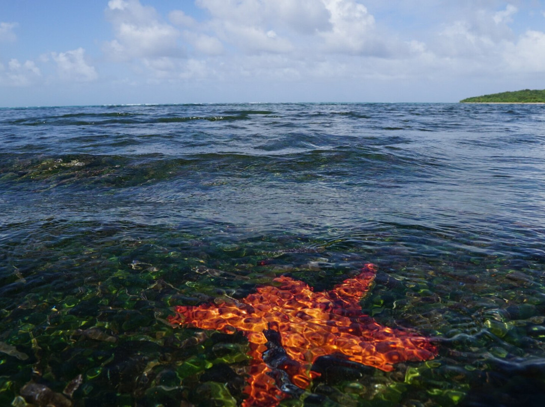 Pirate Snorkeling Shack-法哈多必去景点
