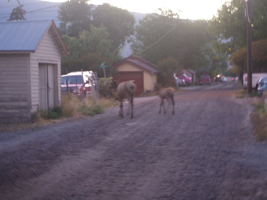 Hillcrest Cottages主图