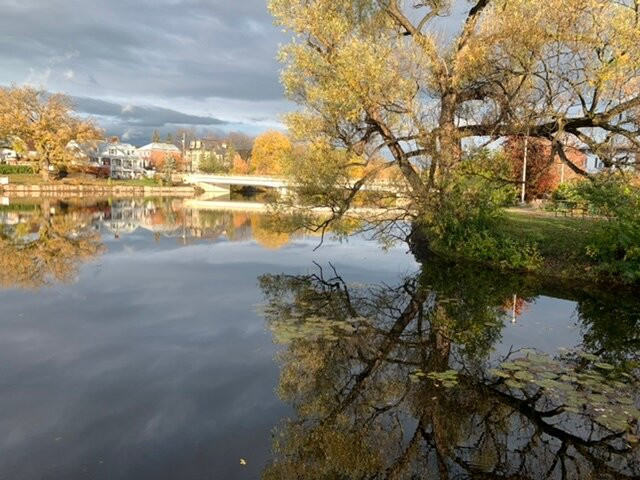 Almonte Riverwalk景点图片