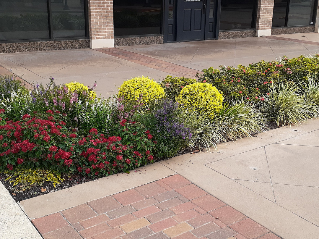 LaCenterra at Cinco Ranch-卡蒂必去景点