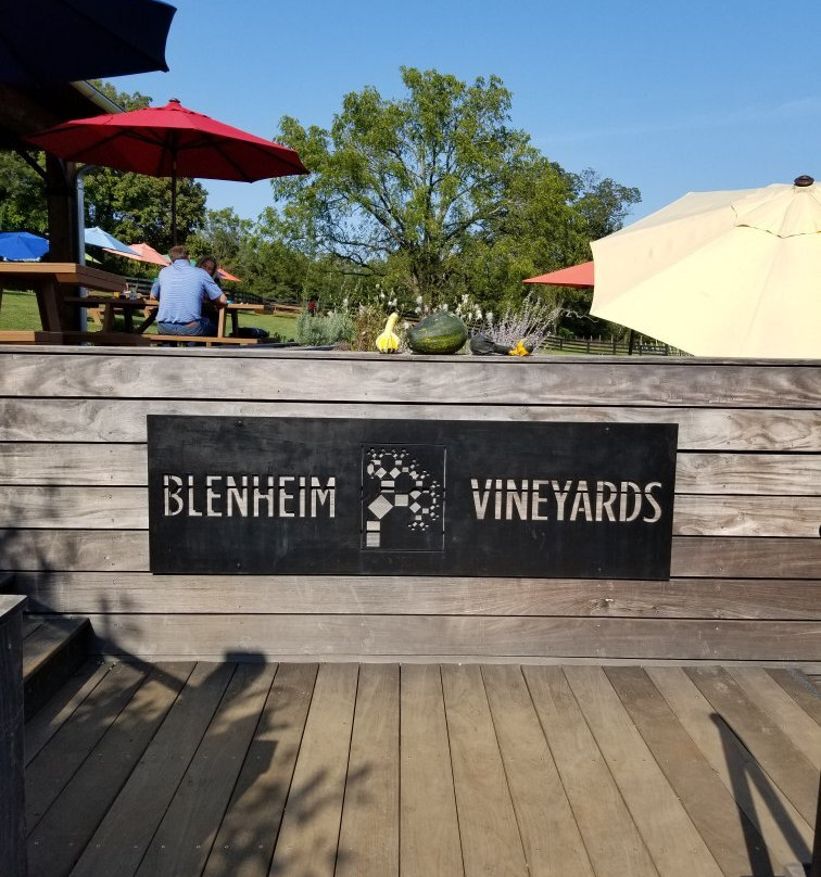 Blenheim Vineyards-夏洛茨维尔必去景点