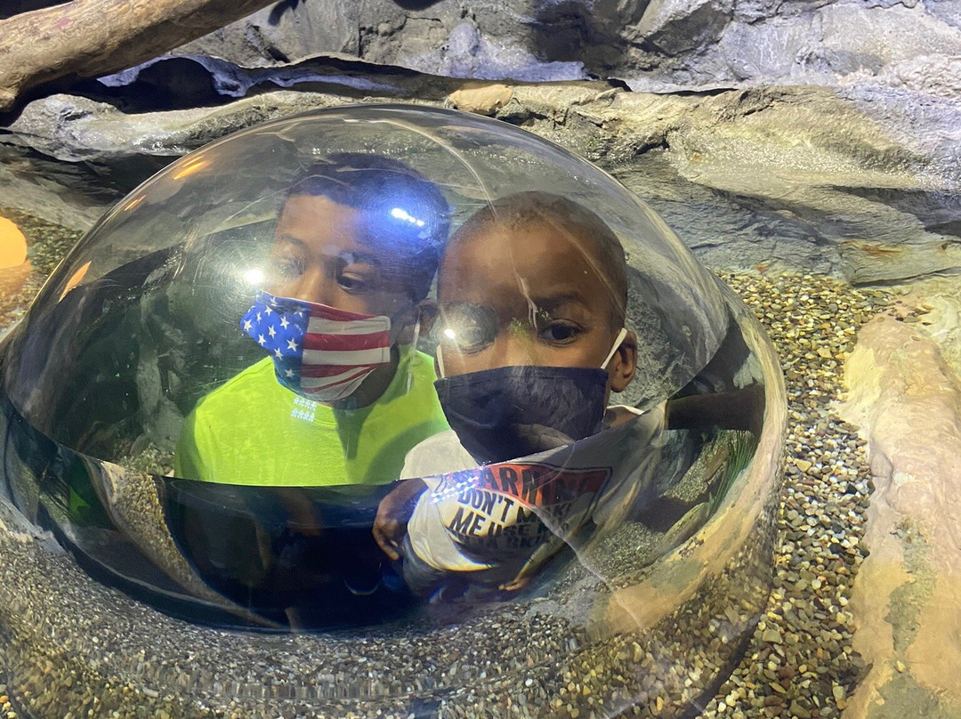 SEA LIFE Grapevine-葡萄藤必去景点