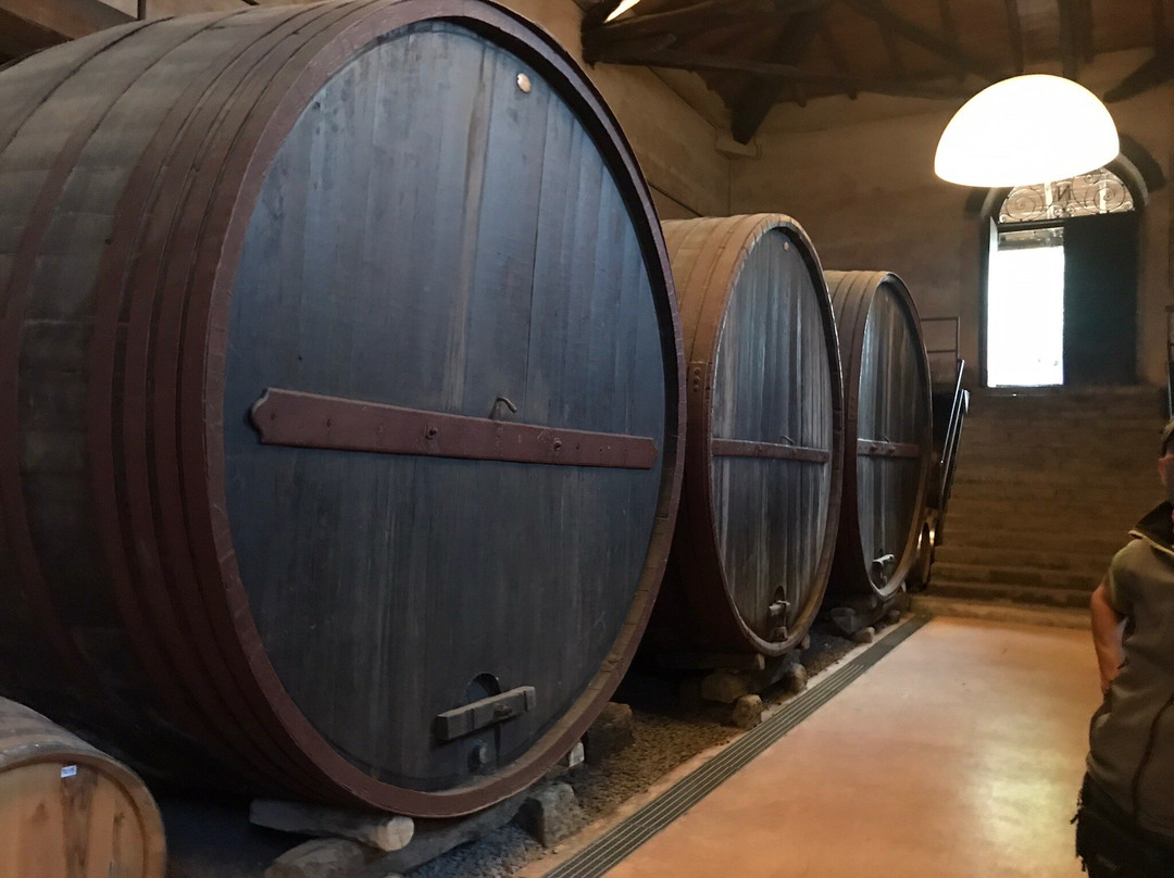 Azienda Vinicola Barone di Villagrande e Cantine景点图片
