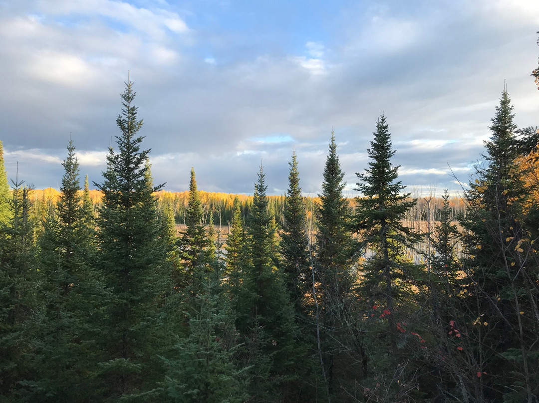 Kabetogama Lake Visitor Center景点图片