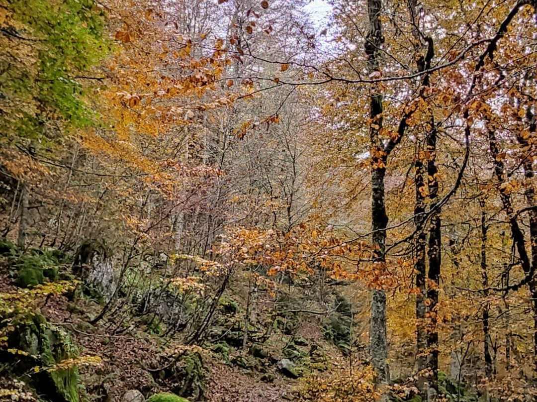 Parc national des Pyrénées-Cauterets必去景点
