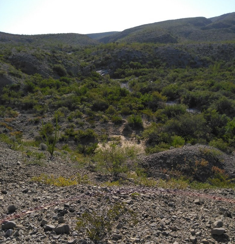 Entre Encantos Y Sabores, Aldama-Aldama必去景点