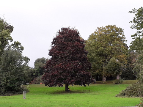 Holywells Park-伊普斯威奇必去景点
