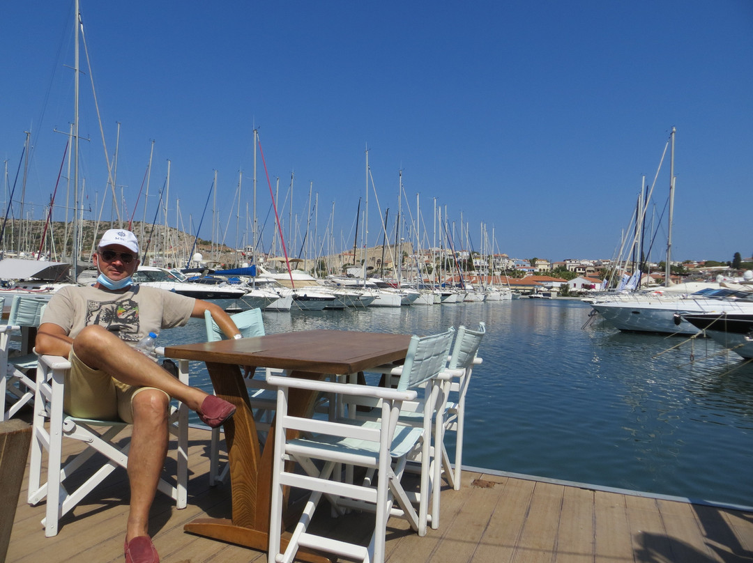 Cesme Marina景点图片