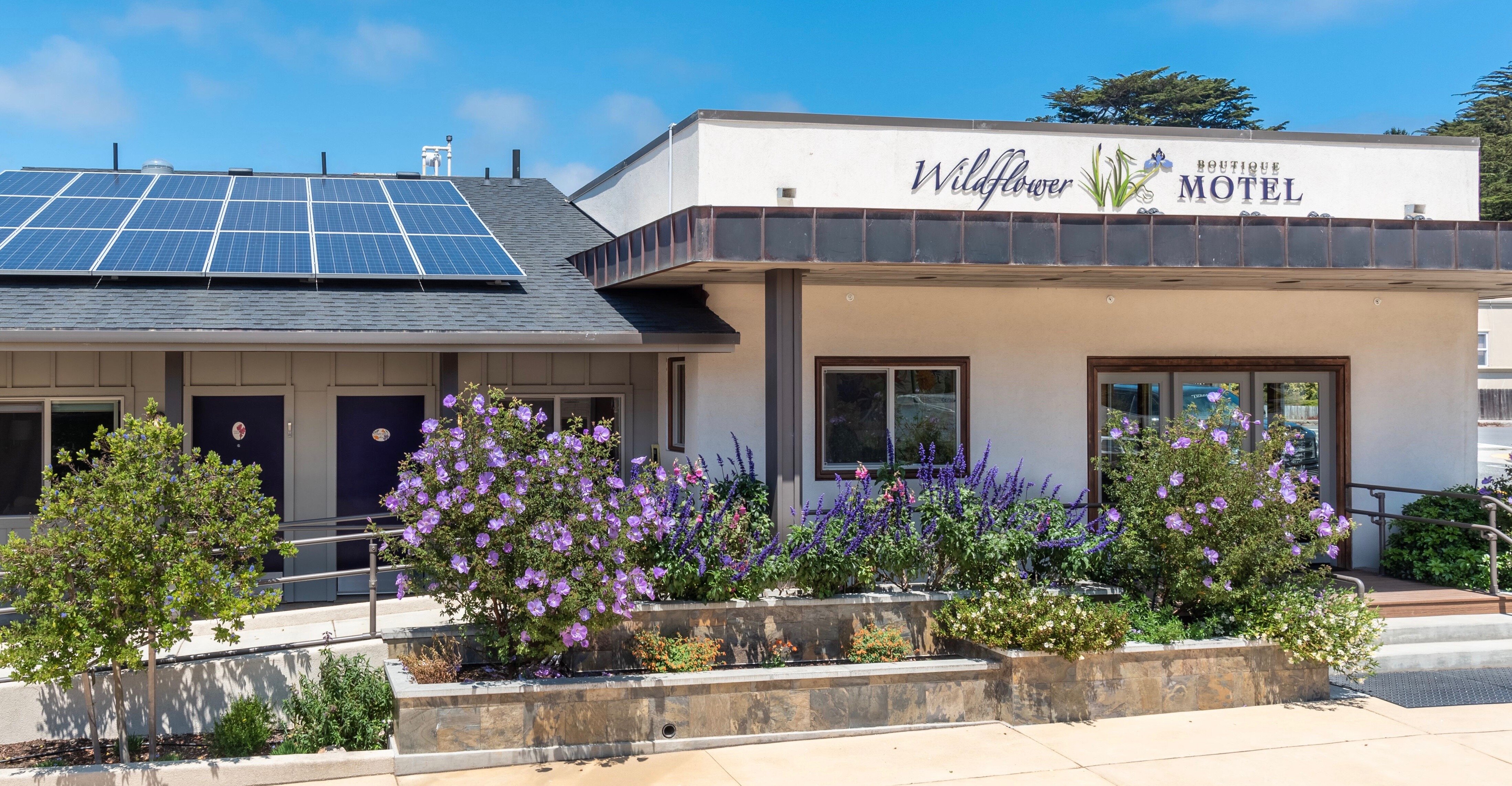 Wildflower Boutique Motel-官方