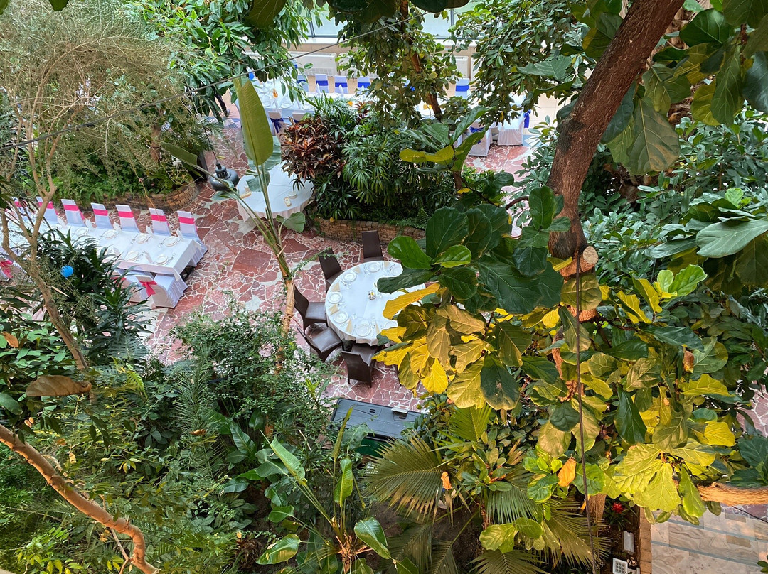 Palm House景点图片