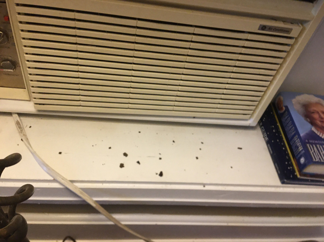 Campbell House主图