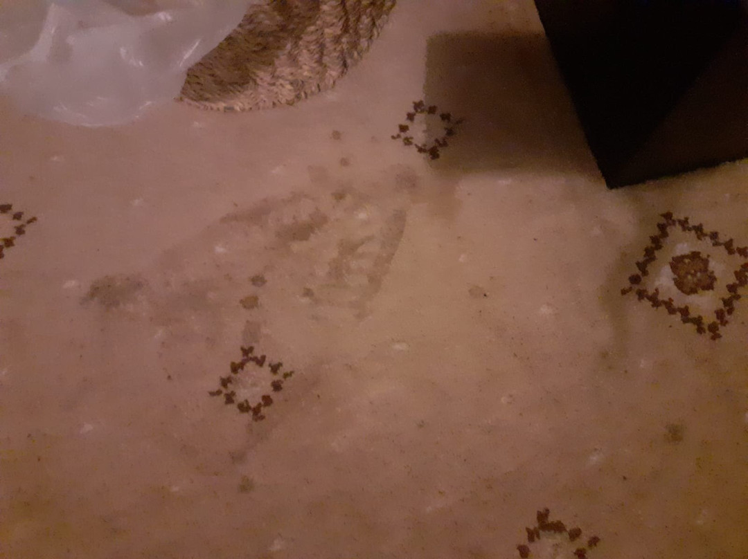 The White Horse Hotel主图